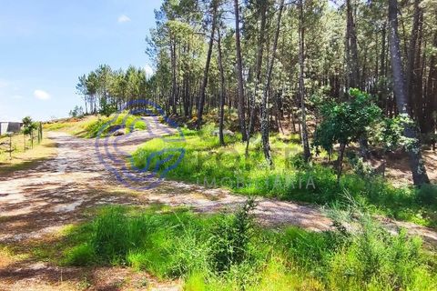 Helårsgrund i Valenca, Viana do Castelo, Valenca - € 65.000 | Ref: 161981 - foto 21