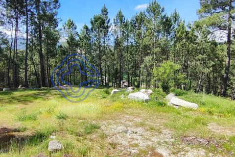 Helårsgrund i Valenca, Viana do Castelo, Valenca - € 65.000 | Ref: 161981 - foto 22