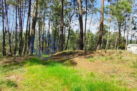 Helårsgrund i Valenca, Viana do Castelo, Valenca - € 65.000 | Ref: 161981 - foto 25