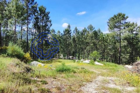 Helårsgrund i Valenca, Viana do Castelo, Valenca - € 65.000 | Ref: 161981 - foto 26