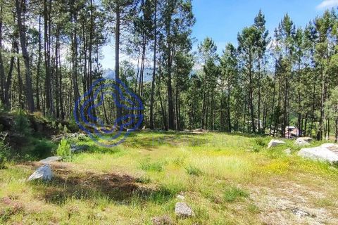 Helårsgrund i Valenca, Viana do Castelo, Valenca - € 65.000 | Ref: 161981 - foto 27
