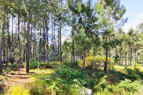 Helårsgrund i Valenca, Viana do Castelo, Valenca - € 65.000 | Ref: 161981 - foto 32