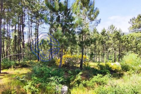 Helårsgrund i Valenca, Viana do Castelo, Valenca - € 65.000 | Ref: 161981 - foto 33