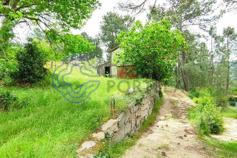 Helårsgrund i Valenca, Viana do Castelo, Valenca - € 65.000 | Ref: 161981 - foto 35
