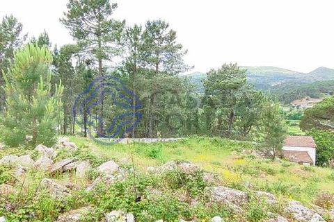 Helårsgrund i Valenca, Viana do Castelo, Valenca - € 65.000 | Ref: 161981 - foto 36
