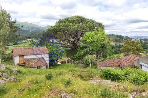 Helårsgrund i Valenca, Viana do Castelo, Valenca - € 65.000 | Ref: 161981 - foto 37