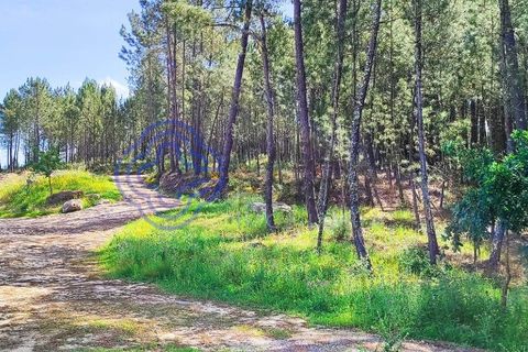 Helårsgrund i Valenca, Viana do Castelo, Valenca - € 65.000 | Ref: 161981 - foto 38