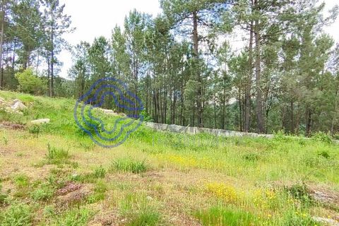 Helårsgrund i Valenca, Viana do Castelo, Valenca - € 65.000 | Ref: 161981 - foto 39
