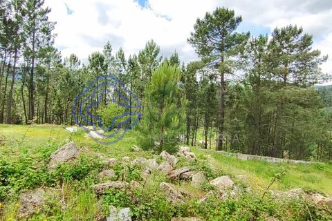 Helårsgrund i Valenca, Viana do Castelo, Valenca - € 65.000 | Ref: 161981 - foto 40
