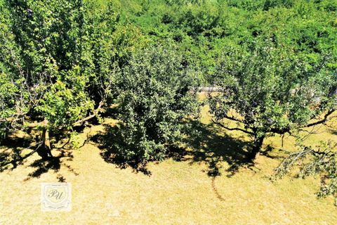 Villa a Ospedaletto Euganeo, Padua, Ospedaletto Euganeo - € 240.000 | Ref: 1042 - foto 21