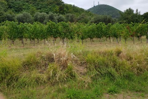 Landejendom i Baone, Padua, Baone - € 150.000 | Ref: S285 - foto 5