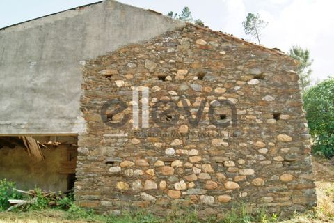 Terra a Cambas, Castelo Branco, Cambas - € 45.000 | Ref: 3664 - foto 2