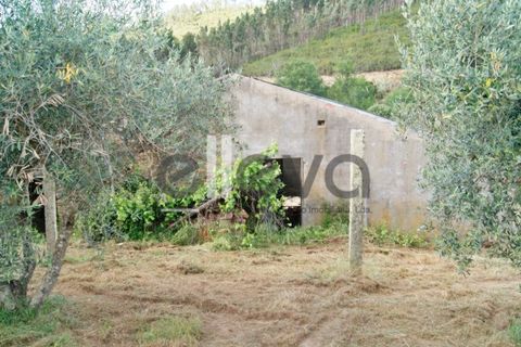 Terra a Cambas, Castelo Branco, Cambas - € 45.000 | Ref: 3664 - foto 4