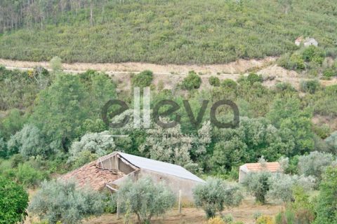 Terra a Cambas, Castelo Branco, Cambas - € 45.000 | Ref: 3664 - foto 5