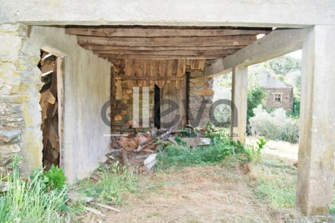 Terra a Cambas, Castelo Branco, Cambas - € 45.000 | Ref: 3664 - foto 7