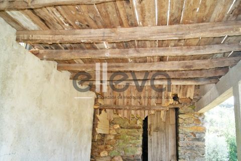 Terra a Cambas, Castelo Branco, Cambas - € 45.000 | Ref: 3664 - foto 8