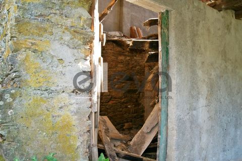 Terra a Cambas, Castelo Branco, Cambas - € 45.000 | Ref: 3664 - foto 9