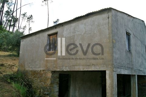 Terra a Cambas, Castelo Branco, Cambas - € 45.000 | Ref: 3664 - foto 10