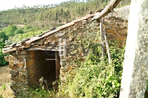Terra a Cambas, Castelo Branco, Cambas - € 45.000 | Ref: 3664 - foto 11