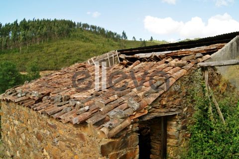 Terra a Cambas, Castelo Branco, Cambas - € 45.000 | Ref: 3664 - foto 12