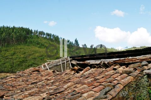 Terra a Cambas, Castelo Branco, Cambas - € 45.000 | Ref: 3664 - foto 13