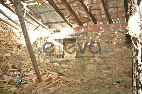 Terra a Cambas, Castelo Branco, Cambas - € 45.000 | Ref: 3664 - foto 14