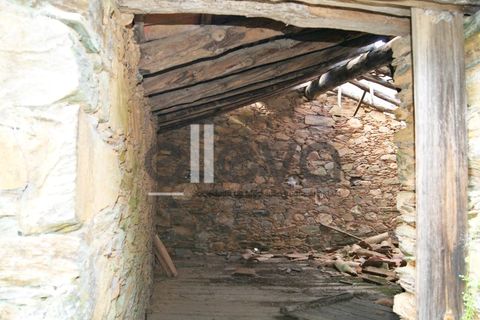 Terra a Cambas, Castelo Branco, Cambas - € 45.000 | Ref: 3664 - foto 15