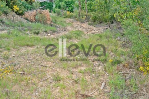 Terra a Cambas, Castelo Branco, Cambas - € 45.000 | Ref: 3664 - foto 18