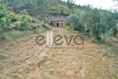 Terra a Cambas, Castelo Branco, Cambas - € 45.000 | Ref: 3664 - foto 19