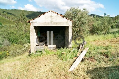 Terra a Cambas, Castelo Branco, Cambas - € 45.000 | Ref: 3664 - foto 20