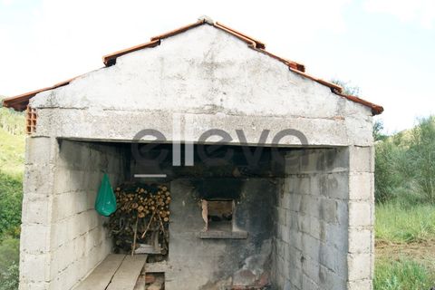 Terra a Cambas, Castelo Branco, Cambas - € 45.000 | Ref: 3664 - foto 21