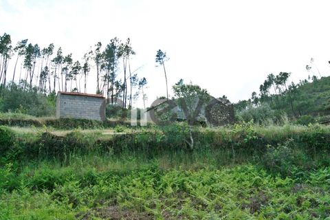 Terra a Cambas, Castelo Branco, Cambas - € 45.000 | Ref: 3664 - foto 25