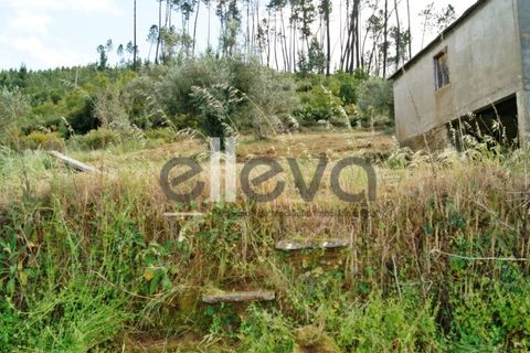 Terra a Cambas, Castelo Branco, Cambas - € 45.000 | Ref: 3664 - foto 26