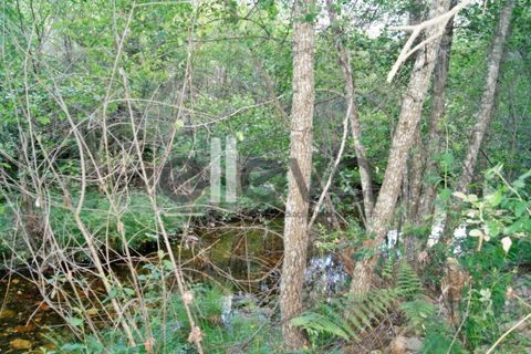 Terra a Cambas, Castelo Branco, Cambas - € 45.000 | Ref: 3664 - foto 30