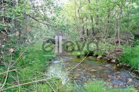 Terra a Cambas, Castelo Branco, Cambas - € 45.000 | Ref: 3664 - foto 28