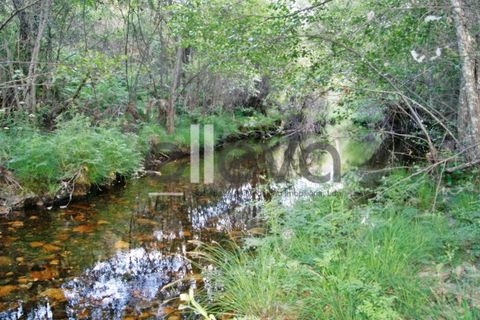 Terra a Cambas, Castelo Branco, Cambas - € 45.000 | Ref: 3664 - foto 29