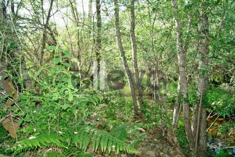 Terra a Cambas, Castelo Branco, Cambas - € 45.000 | Ref: 3664 - foto 31