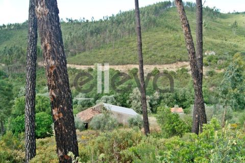 Terra a Cambas, Castelo Branco, Cambas - € 45.000 | Ref: 3664 - foto 32