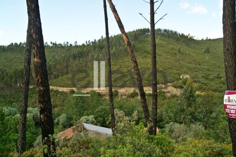 Terra a Cambas, Castelo Branco, Cambas - € 45.000 | Ref: 3664 - foto 33