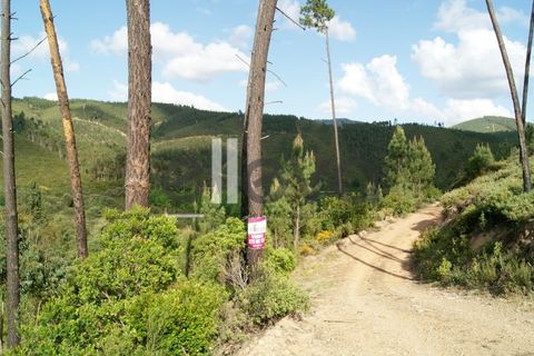 Terra a Cambas, Castelo Branco, Cambas - € 45.000 | Ref: 3664 - foto 34