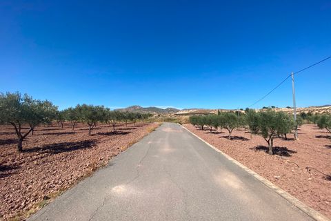 Landejendom i Sax, Alicante, Sax - € 325.000 | Ref: 18137 - foto 6