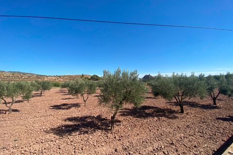 Landejendom i Sax, Alicante, Sax - € 325.000 | Ref: 18137 - foto 7