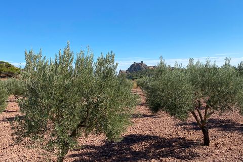 Landejendom i Sax, Alicante, Sax - € 325.000 | Ref: 18137 - foto 8
