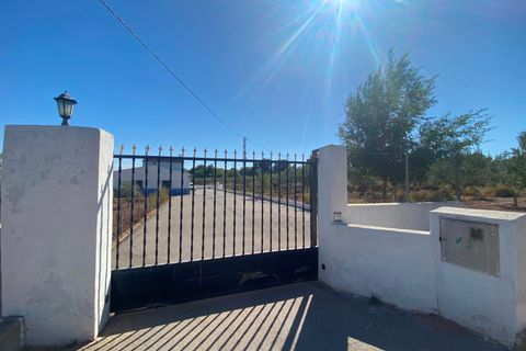 Landejendom i Sax, Alicante, Sax - € 325.000 | Ref: 18137 - foto 9