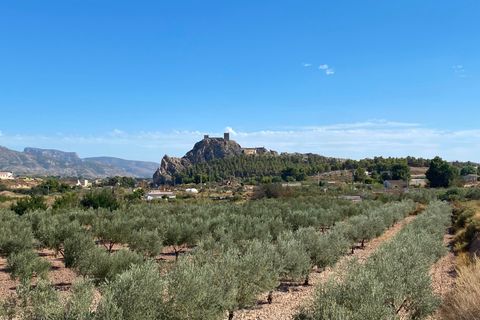 Landejendom i Sax, Alicante, Sax - € 325.000 | Ref: 18137 - foto 15