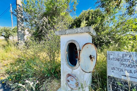 Helårsgrund i Tomar, Santarem, Tomar - € 57.000 | Ref: VCP145/23 - foto 2