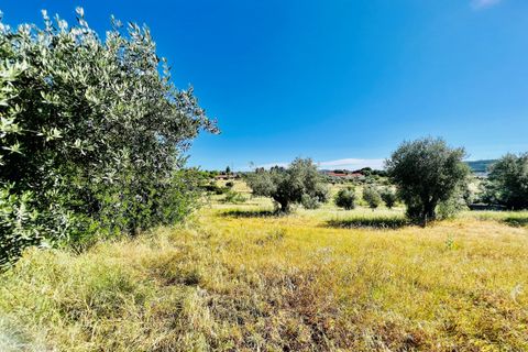Helårsgrund i Tomar, Santarem, Tomar - € 57.000 | Ref: VCP145/23 - foto 3