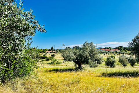 Helårsgrund i Tomar, Santarem, Tomar - € 57.000 | Ref: VCP145/23 - foto 4