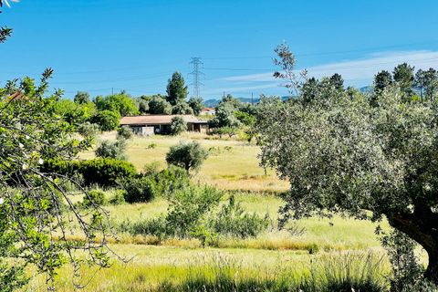 Helårsgrund i Tomar, Santarem, Tomar - € 57.000 | Ref: VCP145/23 - foto 5