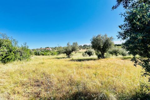 Helårsgrund i Tomar, Santarem, Tomar - € 57.000 | Ref: VCP145/23 - foto 6
